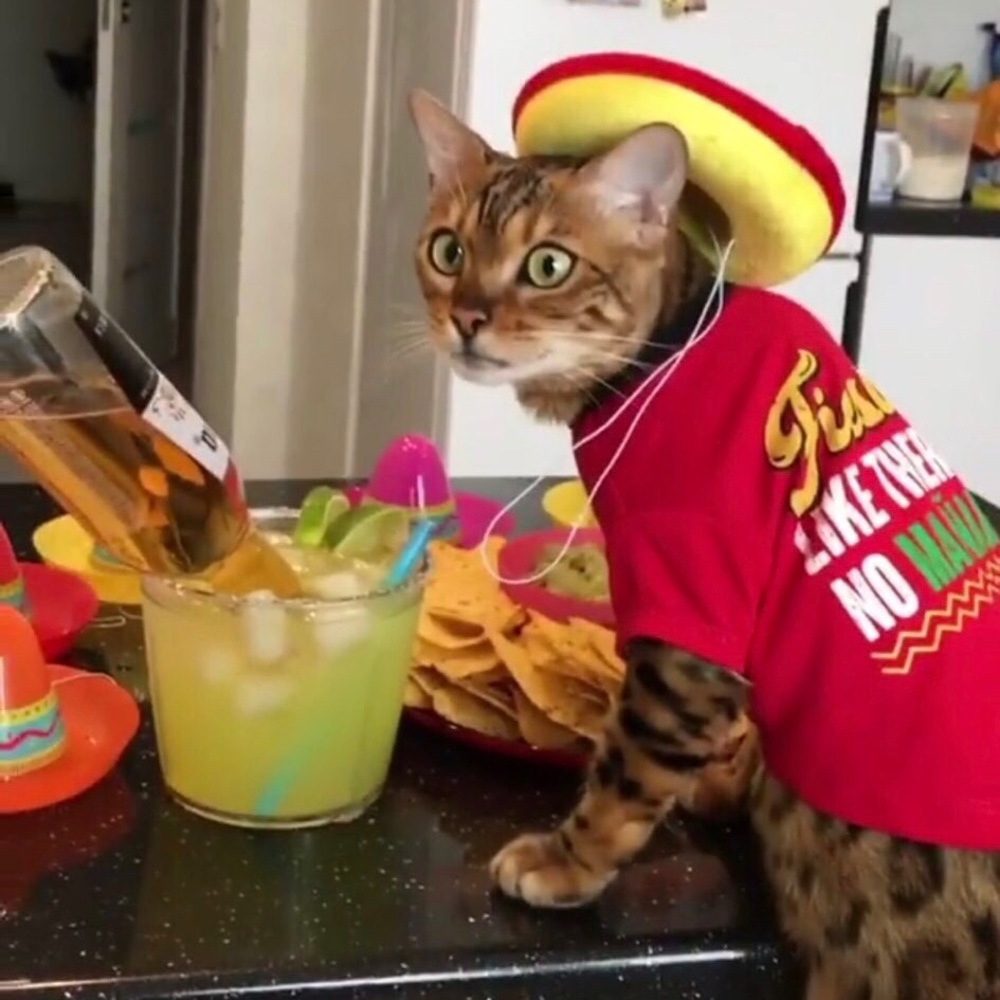 Meet your Posher, Kiera